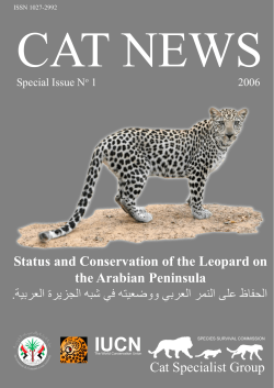 Status and Conservation of the Leopard on the Arabian Peninsula