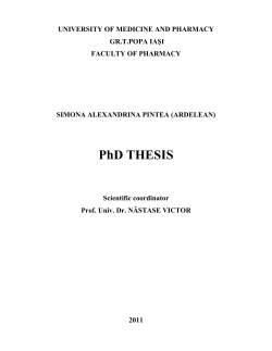 PhD THESIS