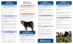 Max Beef Program Brochure Updated 02_2016_Max Beef Program