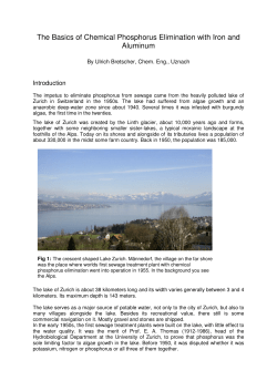 The Basics of Chemical Phosphorus Elimination with Iron and