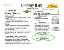 Yummy S`mores - the Three Mile Lake Virtual Community