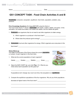 GS1 CONCEPT TASK : Food Chain Activities A and B