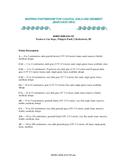 Pedon Description Report - Metric Units