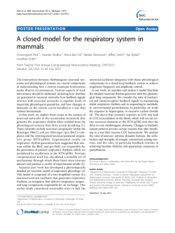 A closed model for the respiratory system in mammals
