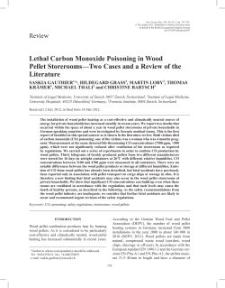 Lethal Carbon Monoxide Poisoning in Wood
