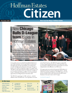 p2 p8 New Chicago Bulls D-League team to play in Hoffman Estates