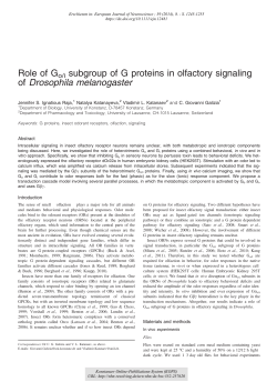 Role of Go/i subgroup of G proteins in olfactory