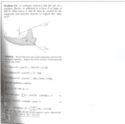 Ch 3 HW solutions
