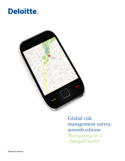 Global risk management survey, seventh edition Navigating in a
