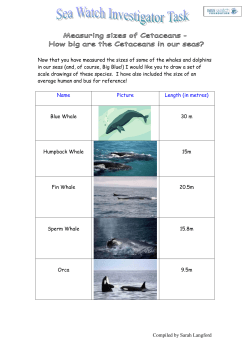 Scale drawing activity