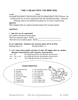 The handouts necessary to do this lesson. See Materials for