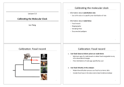 Calibra4ng the molecular clock Calibra4on: Fossil record