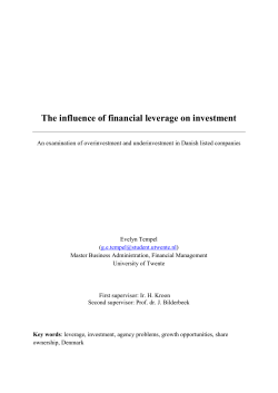The influence of financial leverage on investment