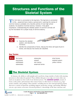 Structures and Functions of the Skeletal System