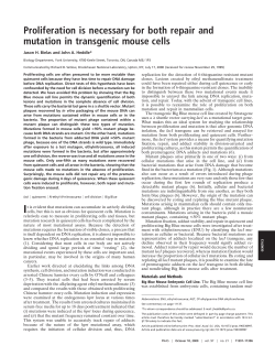 Proliferation is necessary for both repair and mutation in transgenic