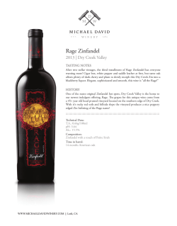 Rage Zinfandel - Michael David Winery