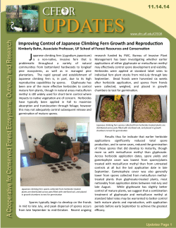 Improving Control of Japanese Climbing Fern Growth and