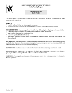 Information on Diaphragm