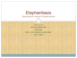 JuliaGundlingPathoCompendo