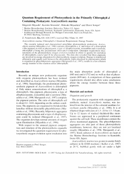 Quantum Requirement of Photosynthesis in the