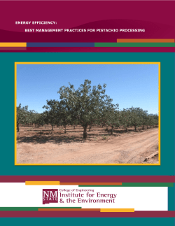 Energy Efficiency: Best Management Practices for Pistachio