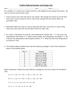 Positive Rational Number and Integer Test