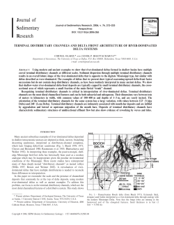 terminal distributary channels and delta front architecture of river