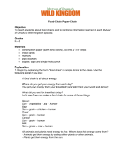 Food-Chain Paper-Chain