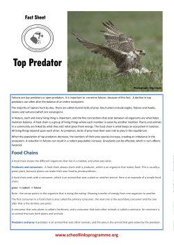 Top Predator - School Links Programme