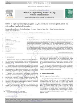 Effect of light cycles (night/day) on CO2 fixation and