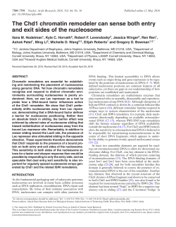 The Chd1 chromatin remodeler can sense both entry and exit sides