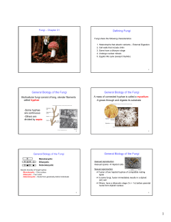 Defining Fungi General Biology of the Fungi General