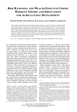 risk rationing and wealth effects in credit markets