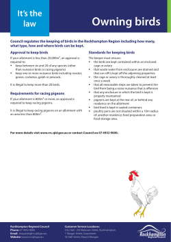 Owning birds - Rockhampton Regional Council