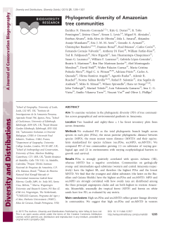 Phylogenetic diversity of Amazonian tree communities