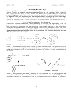 An Introduction to the Cytoskeleton.