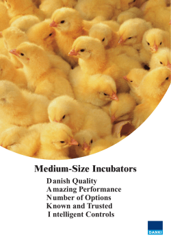 Medium-Size Incubators