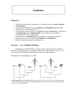 Lab 4. Cladistics lab instructions, including instructions for write-ups