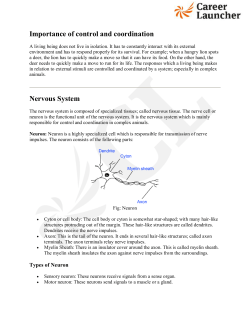 Importance of control and coordination Nervous System