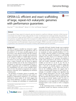 OPERA-LG: efficient and exact scaffolding of