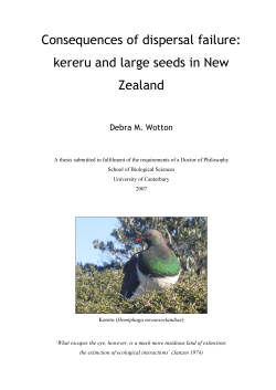 Consequences of dispersal failure: kereru and large seeds in New