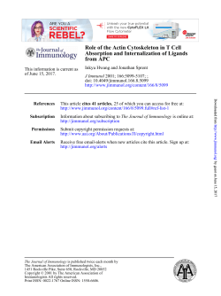 Role of the Actin Cytoskeleton in T Cell Absorption and