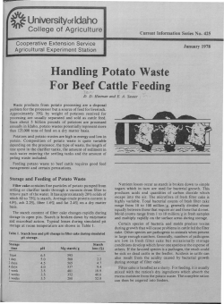 Handling Potato Waste For Beef Cattle Feeding
