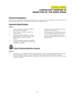 laboratory exercise 30 dissection of the sheep brain