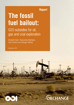 The Fossil Fuel Bailout - The Web site cannot be found