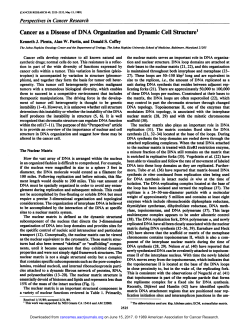 Cancer as a Disease of DNA Organization and Dynamic Cell