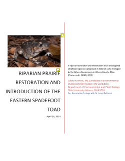 Riparian Prairie restoration and introduction of the