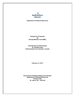 Fischells Brook Exempt Mineral Lands (EML) Request for Proposals