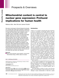 Mitochondrial content is central to nuclear gene expression