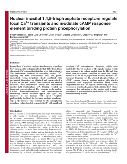 Nuclear inositol 1,4,5-trisphosphate receptors regulate local Ca